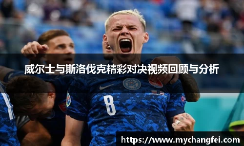 威尔士与斯洛伐克精彩对决视频回顾与分析